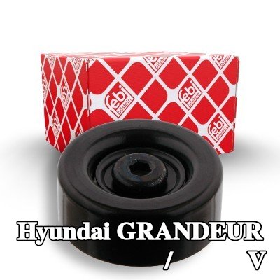 FEBI BILSTEIN بكرة الانحراف/التوجيه, V-ribbed belt Outer Diameter: 70mm, مع برغي — 2006 Hyundai Grandeur