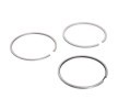 MAHLE Piston Segman Kiti — Renault Trafic (2)