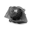 BOSCH Su pompası ve triger kayışı kiti Diş Sayısı: 141, Width: 25, 4mm — 2000 Citroën Dispatch (11)