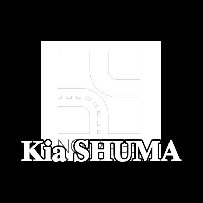 NAP carparts المحول الحفاز — Kia Shuma