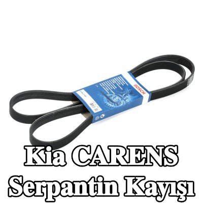 BOSCH Serpantin kayışı 1815mm, Number of ribs: 5 — Kia Carens