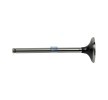 DT Spare Parts Emme valfi — 2002 Nissan Interstar (1)