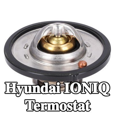 FEBI BILSTEIN Termostat 88°C, conta halkası ile — Hyundai Ioniq