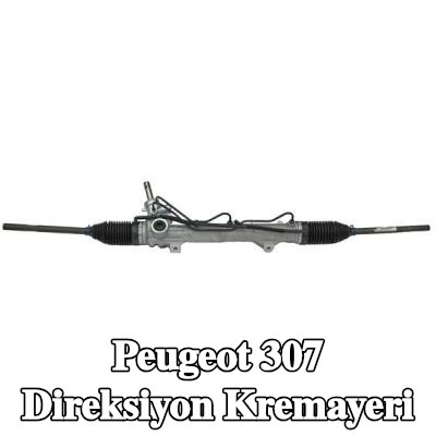 LIZARTE Direksiyon kremayeri — Peugeot 307