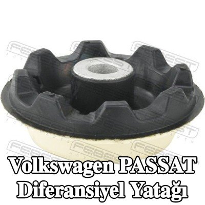 FEBEST Diferansiyel yatağı — Volkswagen Passat