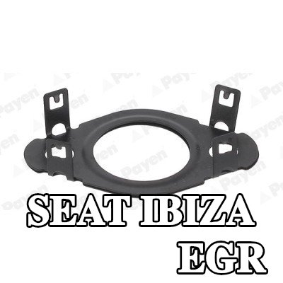 PAYEN حشية أنبوب صمام EGR — SEAT Ibiza