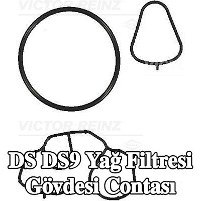 REINZ Yağ filtresi gövdesi contası — DS Ds9