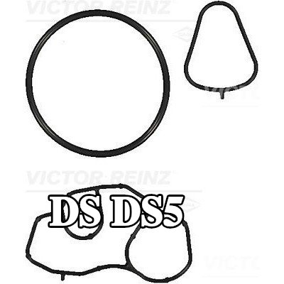 REINZ حشية غطاء فلتر الزيت — DS Ds5