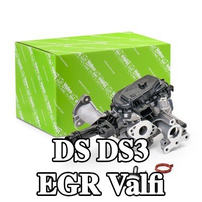 VALEO Contalı/sızdırmazlık elemanlı EGR valfi, EGR soğutucusuz — 2017 DS Ds3