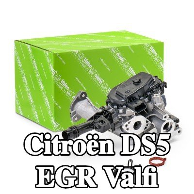 VALEO Contalı/sızdırmazlık elemanlı EGR valfi, EGR soğutucusuz — Citroën Ds5