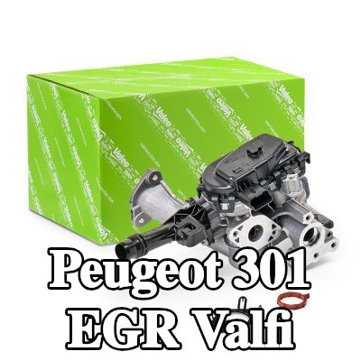 VALEO Contalı/sızdırmazlık elemanlı EGR valfi, EGR soğutucusuz — Peugeot 301
