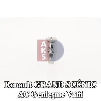 AKS DASIS AC genleşme valfi — 2004 Renault Grand Scénic
