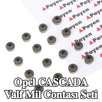 PAYEN Valf mil contası seti — 2016 Opel Cascada