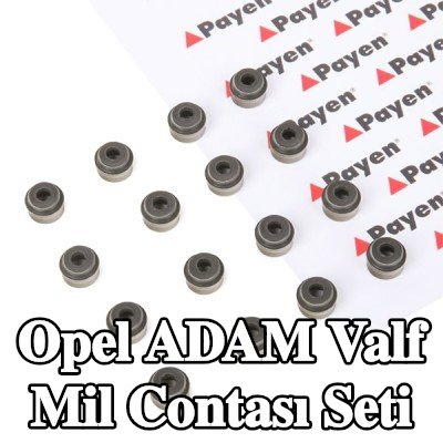 PAYEN Valf mil contası seti — 2012 Opel Adam