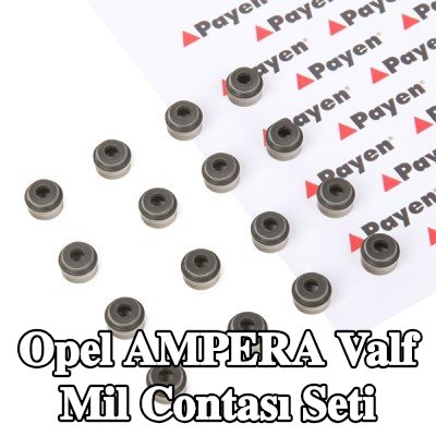 PAYEN Valf mil contası seti — Opel Ampera