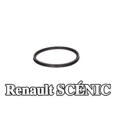 RENAULT حشية المبادل الحراري — Renault Scénic