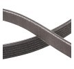 RIDEX PLUS Serpantin kayışı 2228mm, Number of ribs: 6 — Chevrolet C2500 (4)