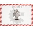 ESEN SKV Hidrolik direksiyon pompası — Audi 90 (6)