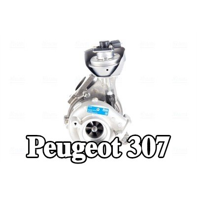 NISSENS مضخة التسريع، المكربن — Peugeot 307