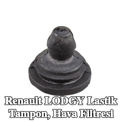 METZGER Lastik tampon, hava filtresi — Renault Lodgy