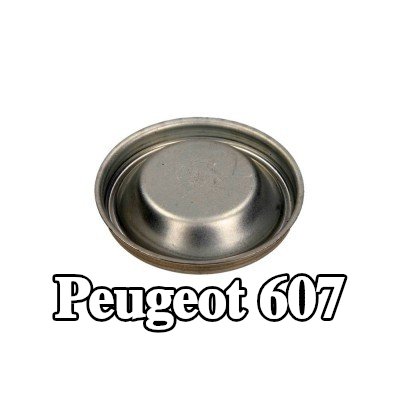 CITROEN/PEUGEOT غطاء، محمل العجلة — Peugeot 607