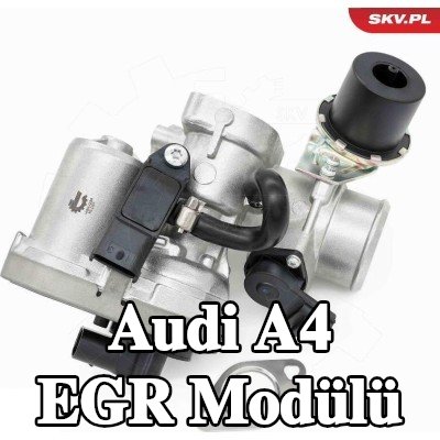 ESEN SKV EGR Modülü kendiliğinden kapanan, elektrik motoru olmadan — Audi A4