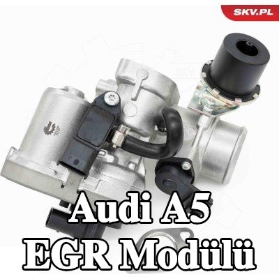 ESEN SKV EGR Modülü kendiliğinden kapanan, elektrik motoru olmadan — Audi A5