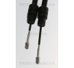 TRISCAN كابل فرامل اليد 2078/1934, 2147/2009mm — Ford Focus (2)