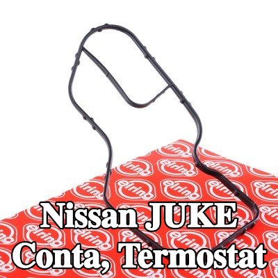 ELRING Conta, termostat Silindir Kafası — Nissan Juke