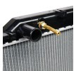 RIDEX Klipsiz motor radyatörü — 1990 Toyota Land Cruiser (3)
