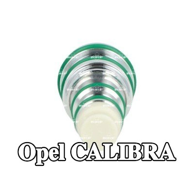 NRF صمام التحكم في ضاغط مكيف الهواء — Opel Calibra