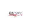 FAST Enjektör kelepçe cıvatası — Ford Fusion (4)