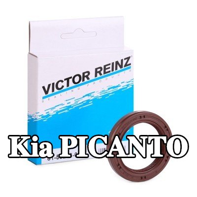 REINZ حشية عمود الكامات — Kia Picanto