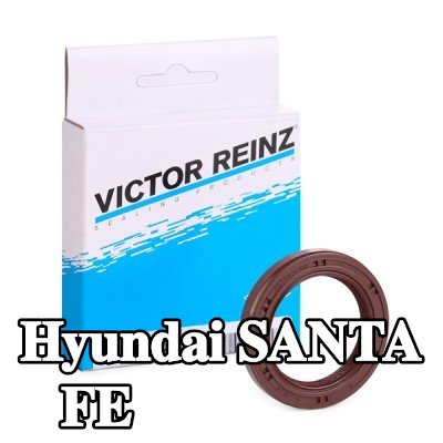 REINZ حشية عمود الكامات — 2003 Hyundai Santa Fe