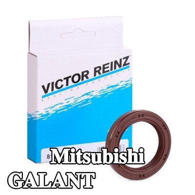 REINZ حشية عمود الكامات — Mitsubishi Galant