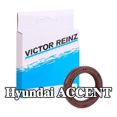REINZ حشية عمود الكامات — Hyundai Accent