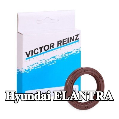 REINZ حشية عمود الكامات — Hyundai Elantra