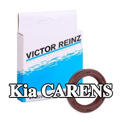 REINZ حشية عمود الكامات — 2004 Kia Carens