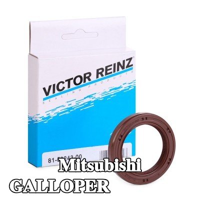 REINZ حشية عمود الكامات — Mitsubishi Galloper