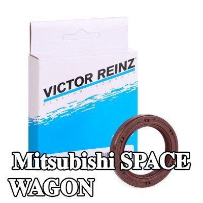 REINZ حشية عمود الكامات — Mitsubishi Space Wagon