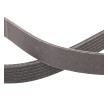 RIDEX PLUS Serpantin kayışı 2270mm, Number of ribs: 6 — 2002 Nissan Cabstar E (4)