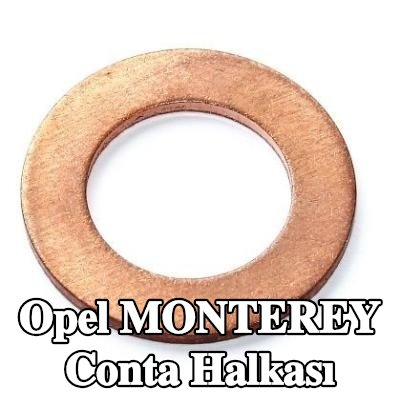ELRING Conta halkası — Opel Monterey