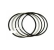MAHLE Piston Segman Kiti — 2002 BMW X5 (1)
