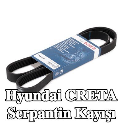 BOSCH Serpantin kayışı 1256mm, Number of ribs: 6 — Hyundai Creta