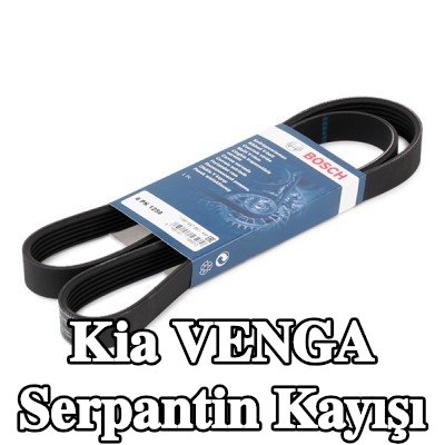 BOSCH Serpantin kayışı 1256mm, Number of ribs: 6 — Kia Venga