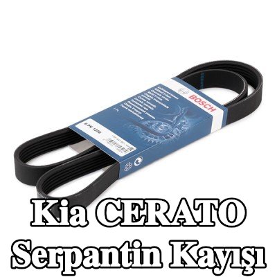 BOSCH Serpantin kayışı 1256mm, Number of ribs: 6 — Kia Cerato