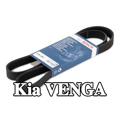 BOSCH حزام سيربنتين 1256mm, Number of ribs: 6 — Kia Venga