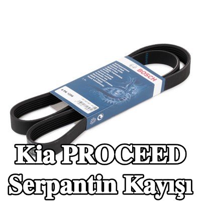 BOSCH Serpantin kayışı 1256mm, Number of ribs: 6 — Kia Proceed