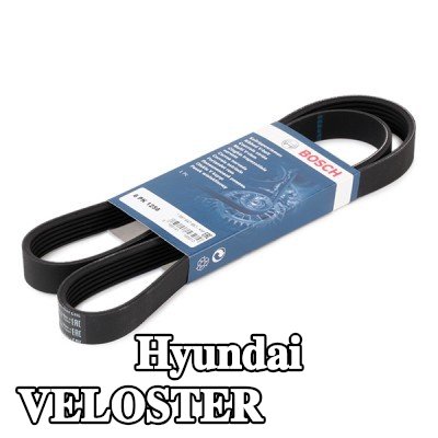 BOSCH حزام سيربنتين 1256mm, Number of ribs: 6 — Hyundai Veloster