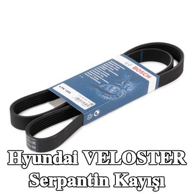BOSCH Serpantin kayışı 1256mm, Number of ribs: 6 — Hyundai Veloster